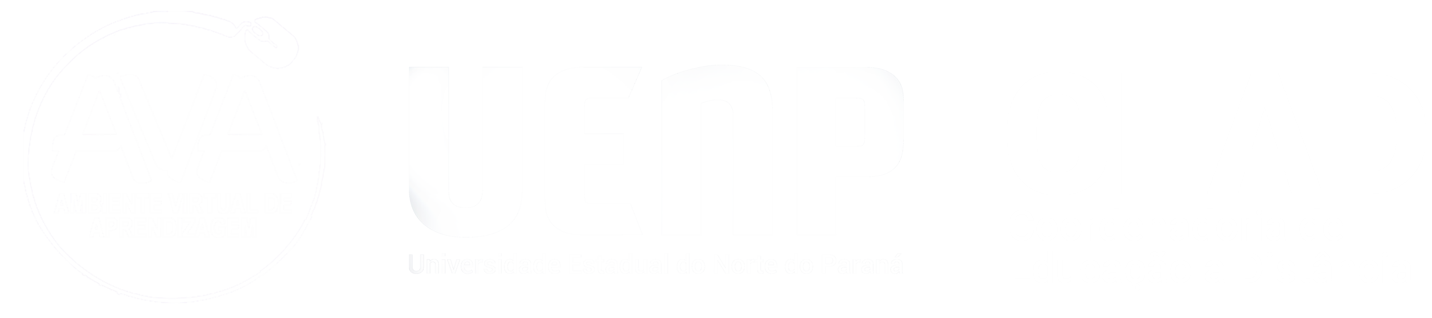 Ambiente Virtual de Aprendizagem