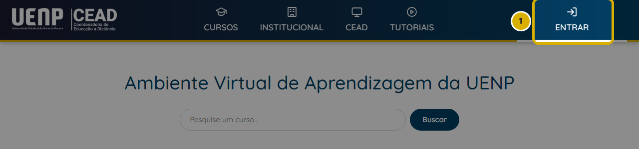 Página inicial do AVA com o botão ENTRAR marcado